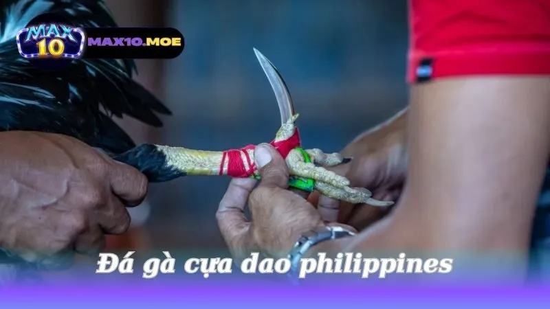 da-ga-cua-dao-philippines